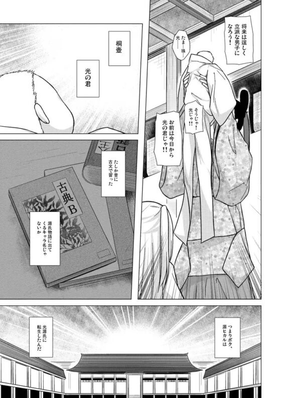 光の君のさがなき計画〈総集編〉 [ノラネコノタマ] | DLsite 同人 - R18
