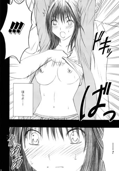限定解除総集編 [クリムゾン] | DLsite 同人 - R18