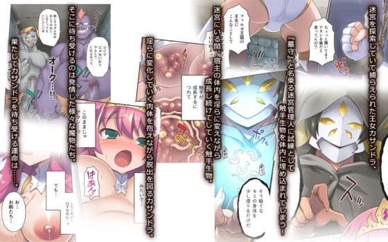 サクリファイスプリンセス～発情快楽器官へと改造された勇ましき王女～ [モニスタラッシュ / a Matures] | DLsite 同人 - R18