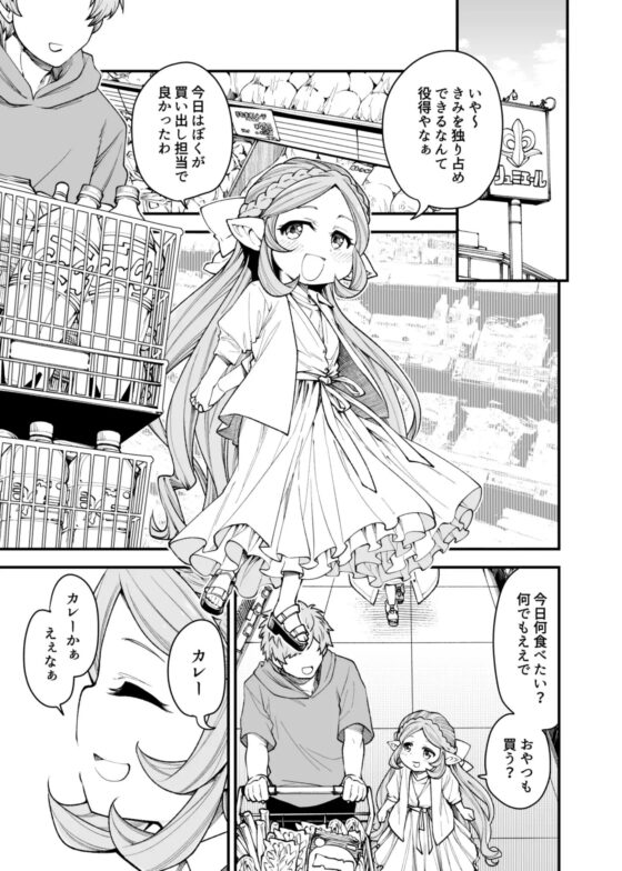 現パロハーヴィンハーレムアパート来訪編 [ひやかけごはん] | DLsite 同人 - R18