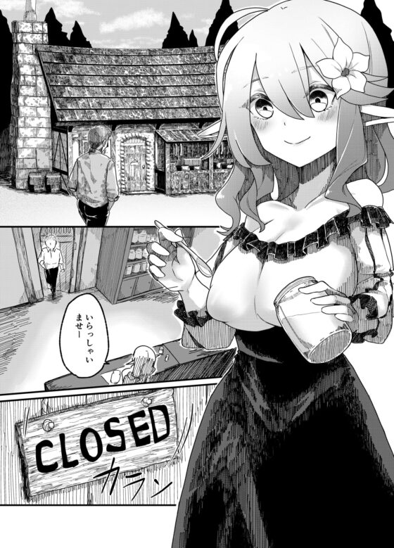 エルフを犯すほん2 [ビューティサロンB &S] | DLsite 同人 - R18