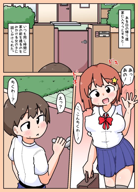 通学路でよくみる女子がちょろかったのでヤッちゃった話 [しばどっぐハウス] | DLsite 同人 - R18