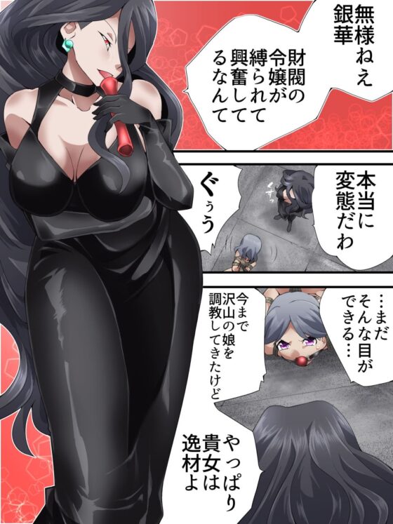 怪盗シルバーキャット漫画版 最終話 [夢かき屋] | DLsite 同人 - R18