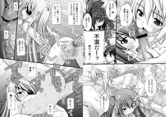 一夏の調教日誌 [浅野屋] | DLsite 同人 - R18