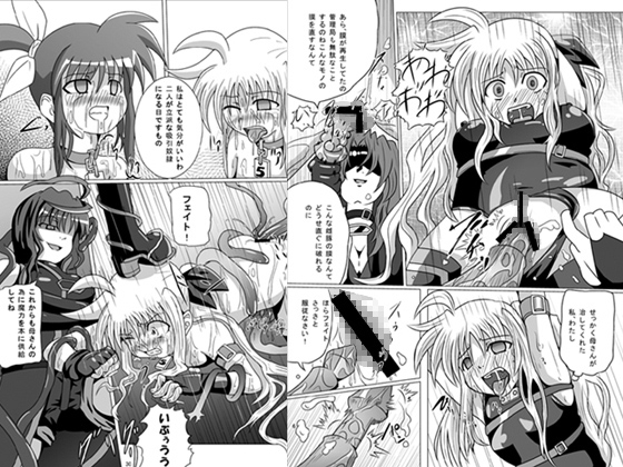 紅の書～フェ○ト編 [黒玉屋] | DLsite 同人 - R18