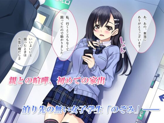 家出娘が堕ちるまで(とらいあんぐる！) - FANZA同人