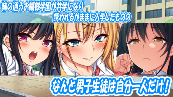 お嬢様学園に男子1人 絶倫チンポで友達100人出来るかな？(一億万軒茶屋) - FANZA同人