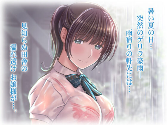 雨宿りの誘惑 田舎の濡れ透けお嬢様と濃厚セックスしまくったリーマンの夏(Sage) - FANZA同人