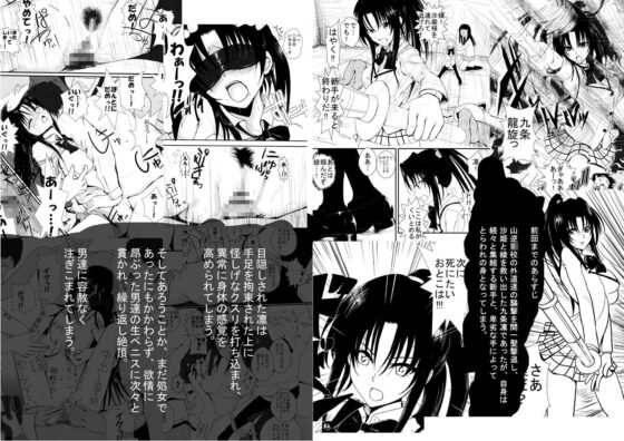 燃えよ凛 被虐調教編セット(AKI6666) - FANZA同人