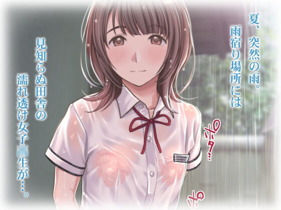 雨宿りの誘惑〜田舎の濡れ透けJKとヤりまくったリーマンの夏〜［同人誌＆音声付ノベルゲーム同梱 EXTRA Ver，］(Sage) - FANZA同人