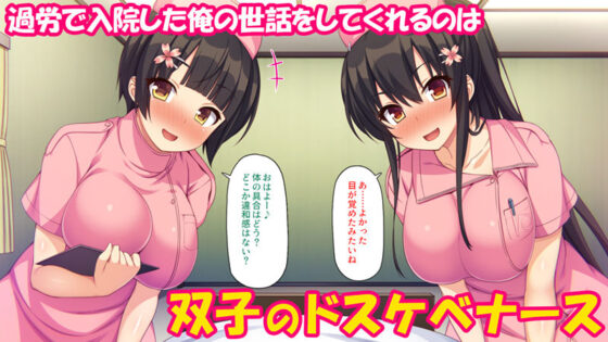 ブラック企業から双子ナースのチンポペットに転職した話(汁っけの多い柘榴) - FANZA同人