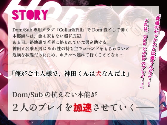 【Dom/sub】いい子だね、神田くん。ド底辺Dom(19)×エリート童貞Sub(28) ～Dom 本郷海斗 編～ [PACIFIER] | DLsite がるまに