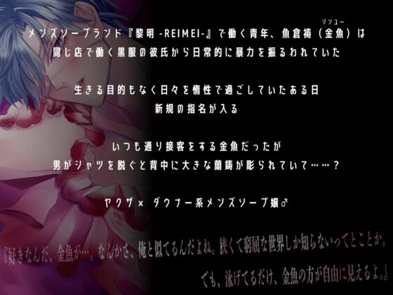 金魚ちゃんの掬い方 [夏八木瑠一] | DLsite がるまに