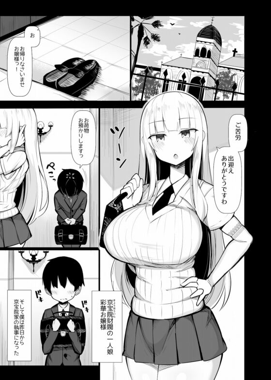 お嬢様に買われたボク [ふらいでぃっしゅ] | DLsite 同人 - R18