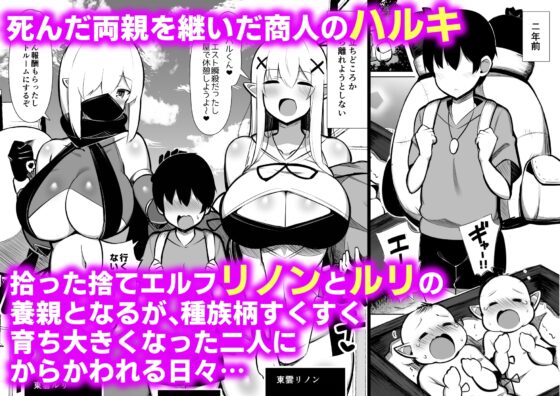 拾った捨てエルフ達に溺愛されて敷かれるまでの話 [ふらいでぃっしゅ] | DLsite 同人 - R18