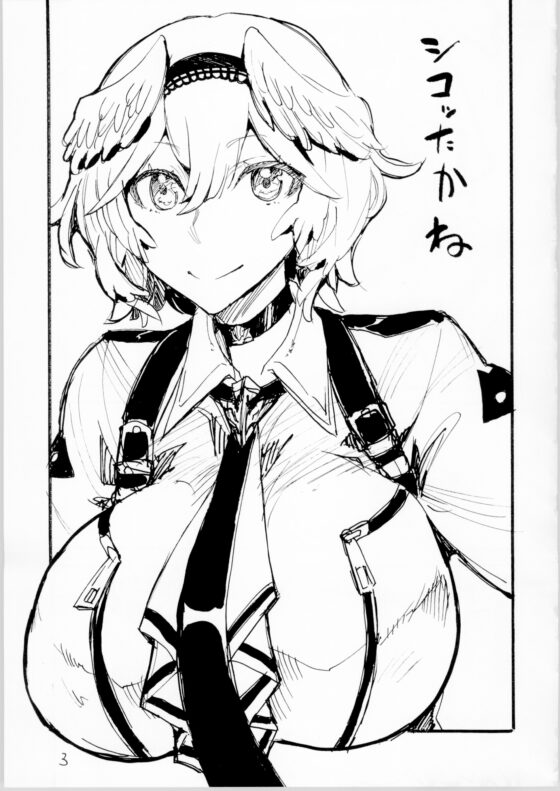 えっちな絵を描きました [キングリボルバー] | DLsite 同人 - R18