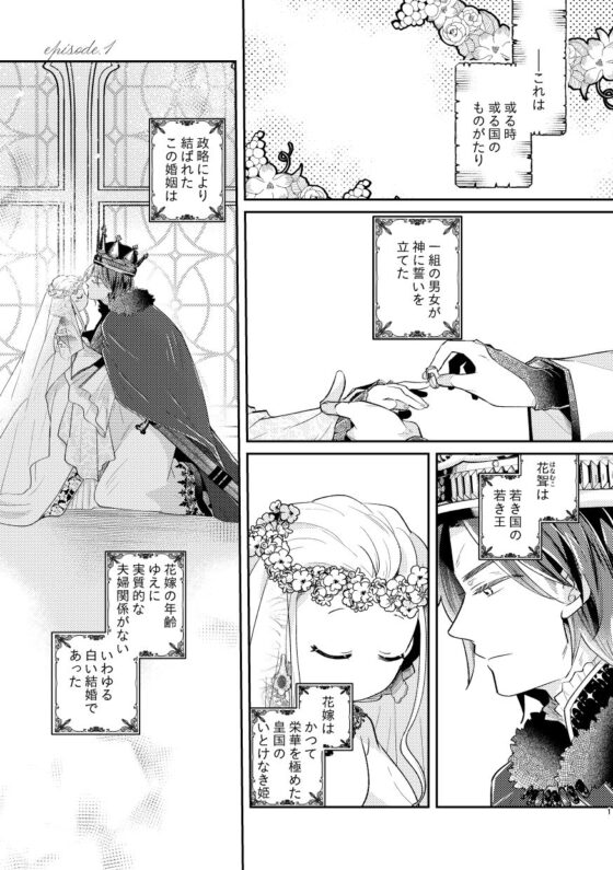 白い結婚‐王と王妃の恋ものがたり‐(グズノロ。) - FANZA同人