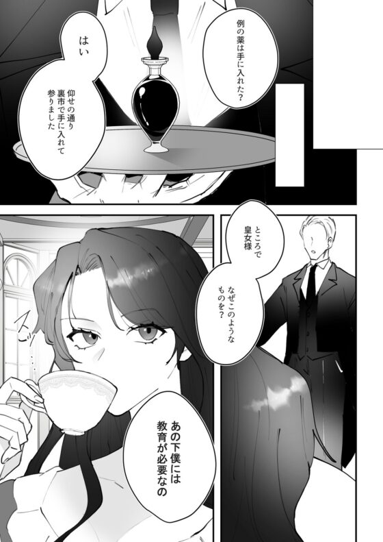 皇女さまと顔の良い奴●〜皇女×奴●の媚薬セックス？〜(SHICO’S KITCHEN) - FANZA同人
