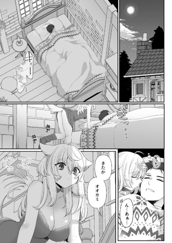 大スキな赤ずきんさんへ。(おにぎりは素手で結べ) - FANZA同人