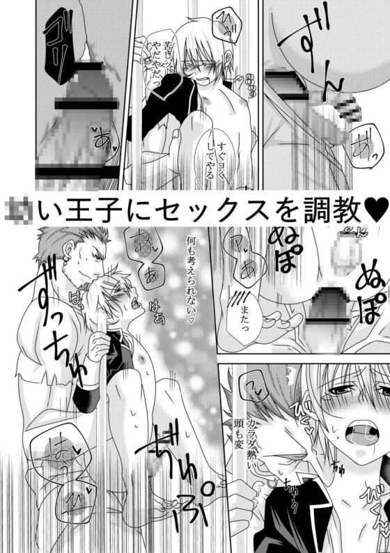 柵越しの戯れ~快楽漬けの王子サマ~ [イツキ調査団] | DLsite がるまに