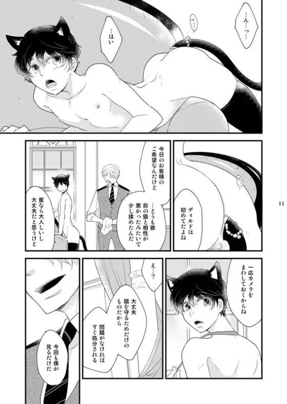 うつつの猫 [+10] | DLsite がるまに
