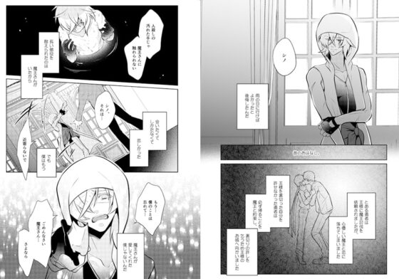 めとられ勇者と魔王と傷 [Peeping Phantom] | DLsite がるまに