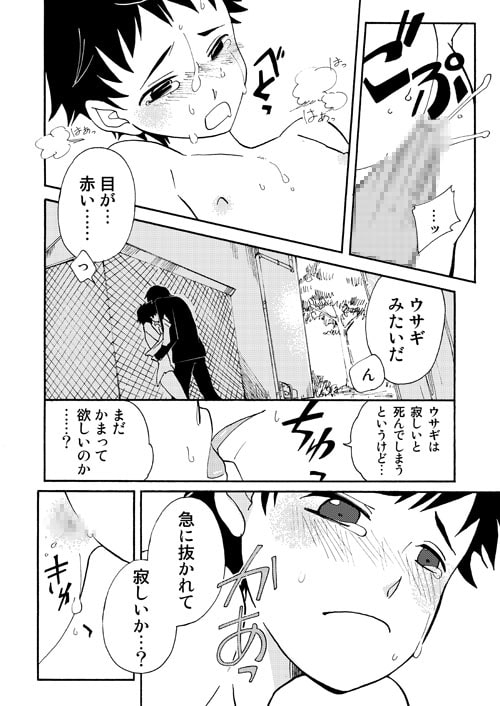 うさぎの声 [満ち潮] | DLsite がるまに