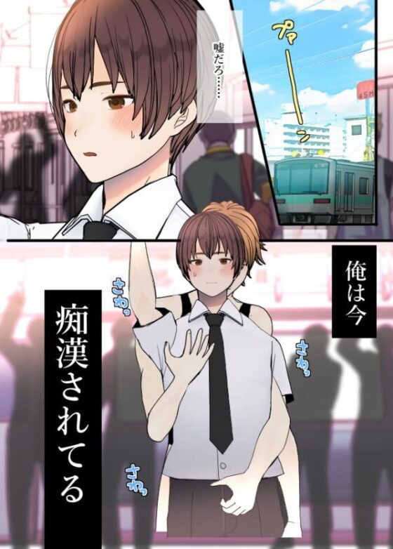 痴漢専用♂満淫電車 [蜜月あまね] | DLsite がるまに