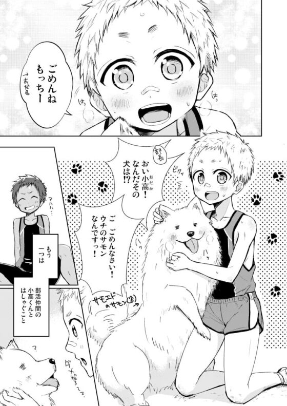ショータローすてっぷ!【ももたけ 2nd Season】 [ジェミニ研究所] | DLsite がるまに