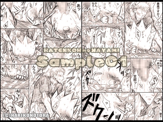 破天荒の悩み(破×パチ総集編)プラス [はりこのとら紙老虎] | DLsite がるまに