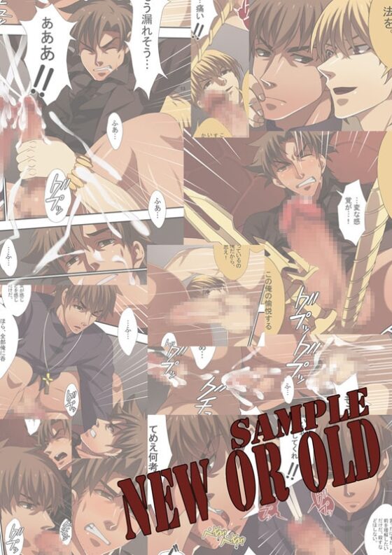 NEW OR OLD [Sugartiger] | DLsite がるまに