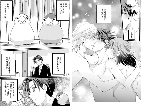 飼い主リーマンは擬人化した文鳥たちにトロトロ一途に愛されたい [OL] | DLsite がるまに
