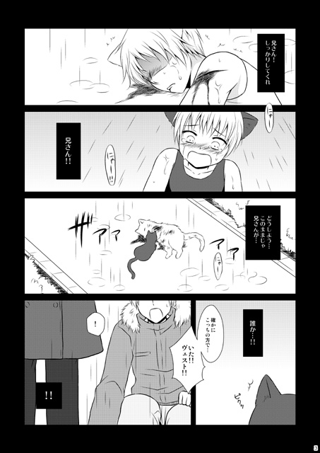 猫のいる生活 [HAKATEN] | DLsite がるまに