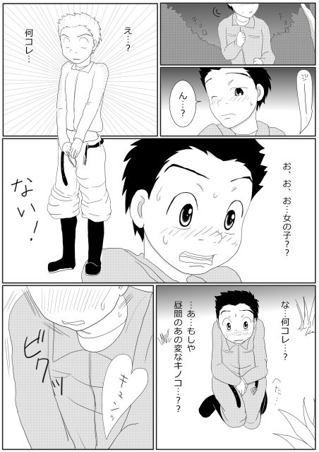 青い果実の味 [もちうさ] | DLsite がるまに