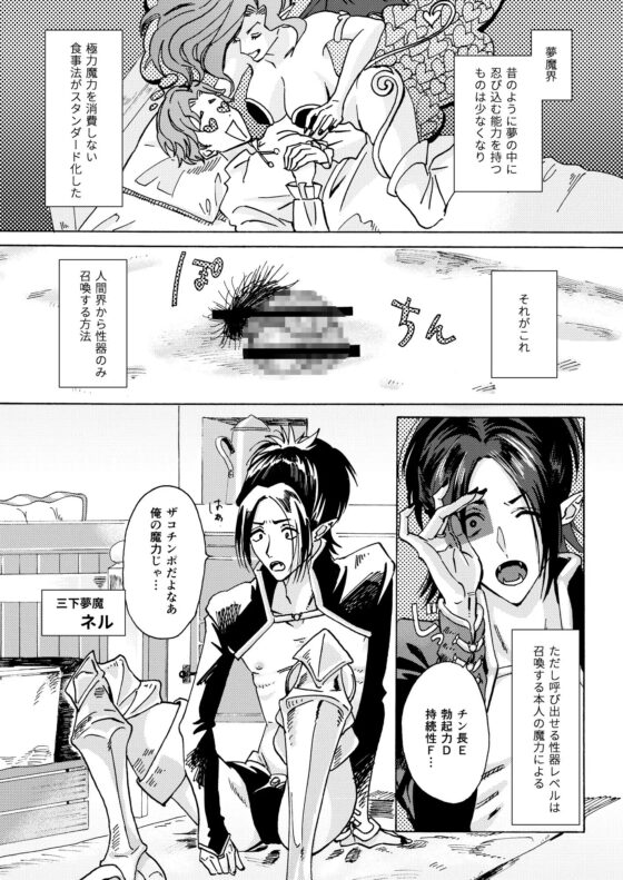 夢魔ネルの運命のお○んぽ様 [REQ] | DLsite がるまに