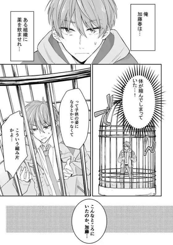 In a bird cage… [酔鯨] | DLsite がるまに
