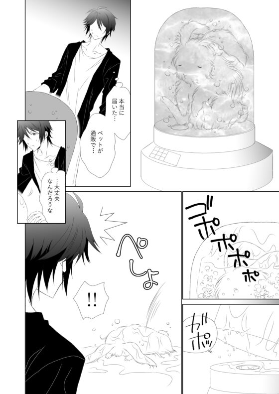Pet Shop Of Lover [ねじまきぴえろ] | DLsite がるまに