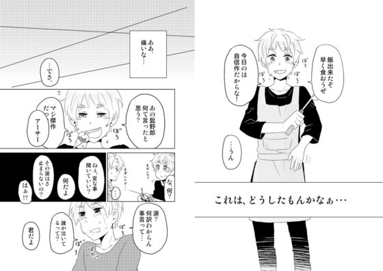 don`t cry [誤字脱字乱文] | DLsite がるまに
