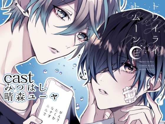 トワイライトムーン-傷の手当ても酷くして₋ / Twilight Moon  -Treat my Wounds Painfully- [星石箱] | DLsite がるまに