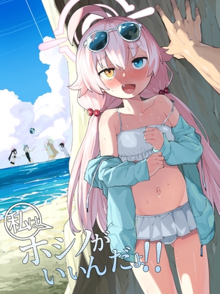 ホシノがいいんだよ [半里プラザー] | DLsite 同人 - R18