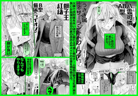 ターシャリトランスストレンジ*絶世の美女(元ヤン総長)が絶世の美男×2(敵対チーム総長)+(幼馴染)に執着溺愛される話 [MOMO] | DLsite がるまに