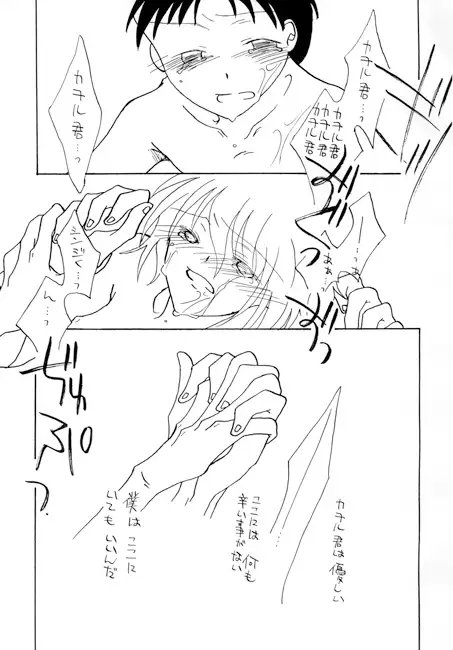 終末の向こう側 シンカヲver [細胞文芸] | DLsite がるまに