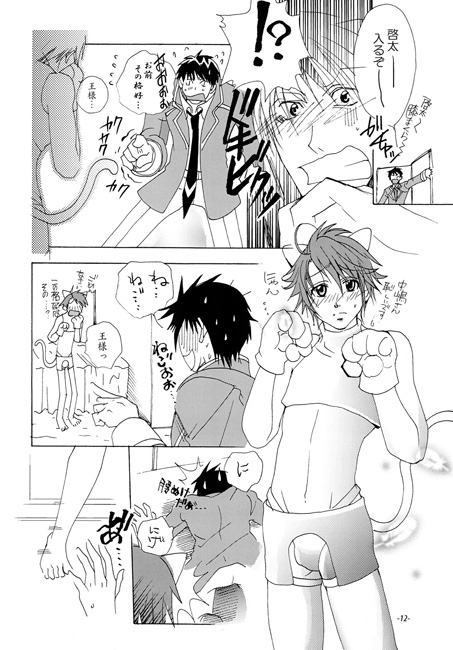 ねこネコ大作戦 [三毛猫本舗] | DLsite がるまに