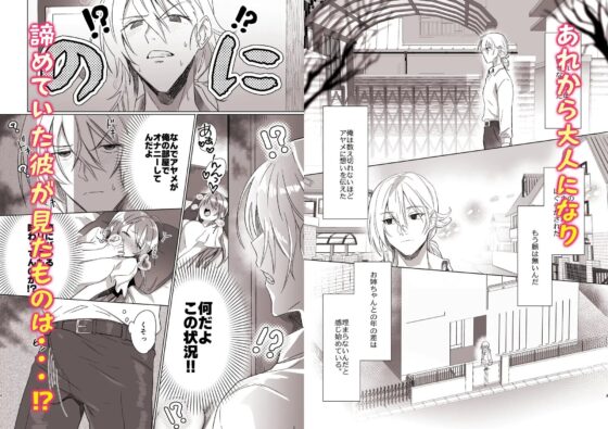 【後編】お姉ちゃんとの年の差は埋まらないのに. [カシオピュータ] | DLsite がるまに