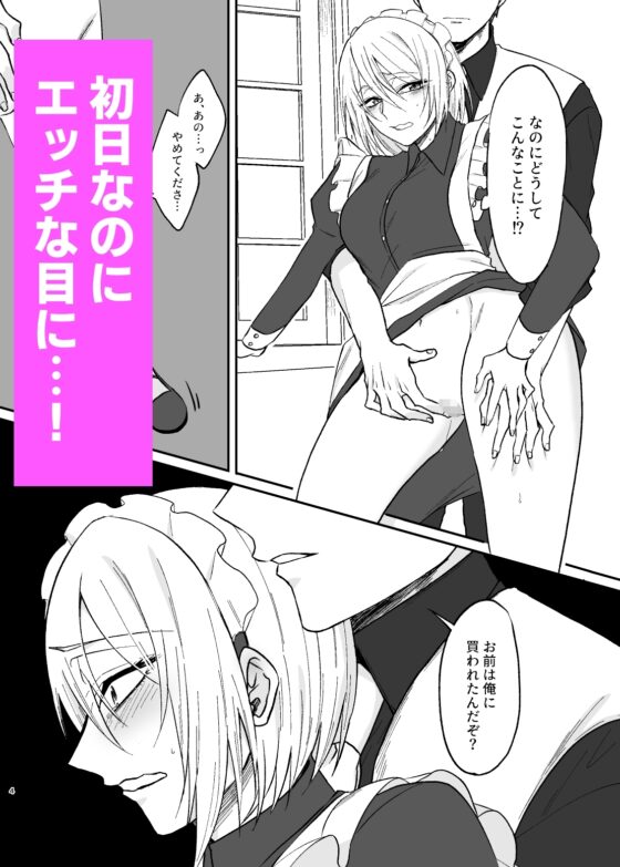新人メイドは俺様主人に愛し尽くされます [360度回転] | DLsite がるまに