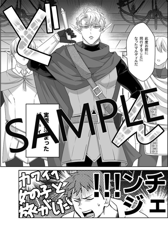 勇者さん巨根エルフと異世界孕ませ旅 [パコズ] | DLsite がるまに