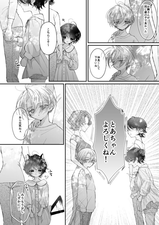 雛鳥の夢想 城内観宇の独白 [センダ観測所] | DLsite がるまに