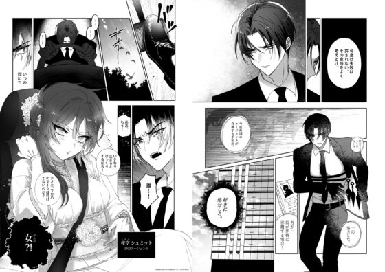 Kπ ～公安警察と異国の魔女の二人～ [アイノグラフィ] | DLsite がるまに