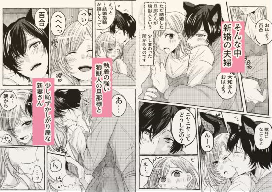 蜜月の狼さんはとまれません。 [和菓子商店] | DLsite がるまに