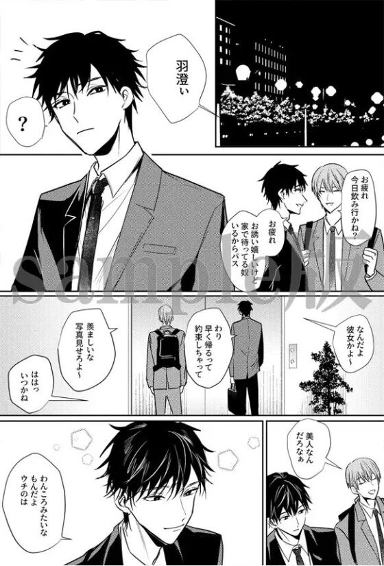 開発されまくった俺。バイト先の先輩に調教されて自らハメたがるエッチ大好きビッチに [OL] | DLsite がるまに